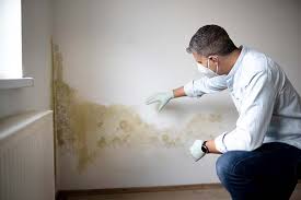 Best HVAC Mold Inspection and Cleaning  in Seminole, FL